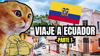 VIAJE A ECUADOR  parte 1 meme de gatos [upl. by Aralk193]