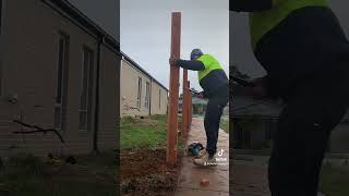 Building a timber fence diy fencebuilding work construction shorts howto [upl. by Mellie898]