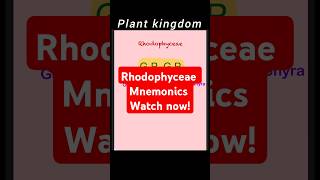 Rhodophyceae mnemonicplantkingdomneet2025 neettamil neetbiology neetchemistryneetphysics [upl. by Teufert37]