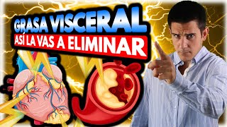 👨‍⚕️¿Cómo se puede Eliminar la GRASA VISCERAL✍️Consejos Prácticos para empezar AHORA [upl. by Karlis]