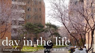 study abroad diaries ep 3 realistic day in the life as a tsinghua exchange student [upl. by Latashia]