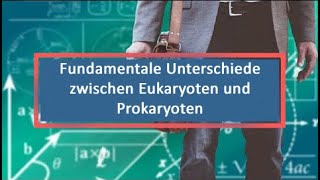 Fundamentale Unterschiede zwischen Eukaryoten und Prokaryoten [upl. by Salahi]