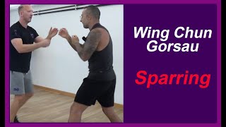 Wing Chun  Chisau Sparring with speed [upl. by Nathanael]