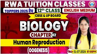 Class 12 Biology Chapter 2  Human Reproduction Oogenesis By Swabhi Mam [upl. by Reivaj]