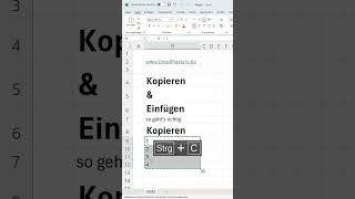 Excel Kopieren amp Einfügen  Tipps amp Tricks [upl. by Annaoy52]