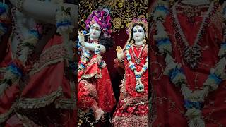 Krishna Bhajans l Suno Krishna Pyaare l Bhakti Songs l Jai Radhe Radhe Krishna l Swati Mishra Song l [upl. by Regan264]