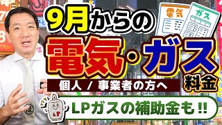 【9月の電気代こうなります】LPガスは自治体補助 都市ガス・電気は大手10社すべて値下げ 具体的な値引額 自治体によるLPガス補助 厚労省の支援策 詐欺注意〈24年9月時点〉 [upl. by Ruddie]