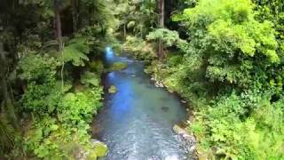 New Zealand  Goat Island amp Ruakaka Beach amp Whangarei Falls [upl. by Elimay]