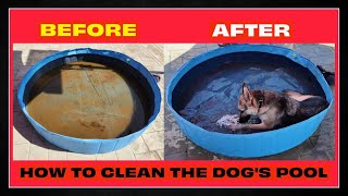 The Easiest Way I Clean My Dogs Pool 🐶 [upl. by Hett]