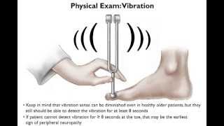 Brief Physical Examination for Peripheral Neuropathy [upl. by Savihc314]