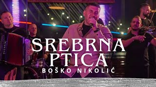 BOŠKO NIKOLIĆ i ORKESTAR KRALJEVI  SREBRNA PTICA COVER [upl. by Elset]