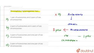 Drosophila melanogaster has [upl. by Freud804]