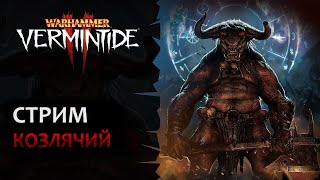 📺 Vermintide 2 Понедельник  стрим тяжелый Козлячий стрим  Марафон День 5  Патч 55  Катаклизм [upl. by O'Mahony]