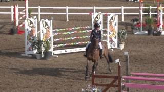 Showjumping  Chepstow International Children On Horses [upl. by Cirek]