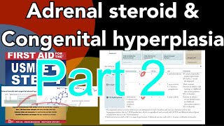 Adrenal steroid amp congenital hyperplasia part 2 in HindiUrdu  enzyme deficiency conditions [upl. by Noyr]