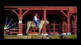 MFTHBA Foxtrotter Buckskin GaitedNatural HorsemanshipTrail Gelding For Sale [upl. by Alyar231]