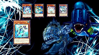 YGOPRO all Fishborgbig whalesuperancient deepsea king coelacanth deckLEDE [upl. by Rufford]