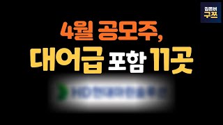 4월 공모주 일정  HD현대마린솔루션 포함 11곳 주관사는 [upl. by Mikihisa]