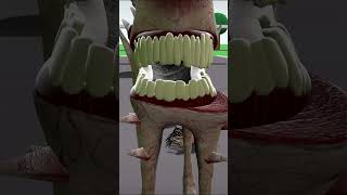 Experiment Zoochosis Animals Transformation into Mutant’s in Garry’s Mod gmodmonster zoochosis [upl. by Llerret]