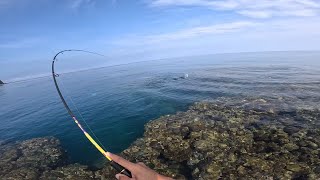 UL Ep31 Ginulat agad ako pagbalik sa casting  Ultralight Fishing  Shore casting Philippines [upl. by Neelahtak829]