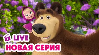 🔴 ПРЯМОЙ ЭФИР LIVE Маша и Медведь💥 НОВАЯ СЕРИЯ 💥 Пикник в сиреневых тонах 🪻🧺📸 [upl. by Eclud760]