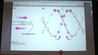 13 Kevin Aherns Biochemistry  Enzyme Mechanisms amp Regulation [upl. by Lamee960]