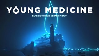 Young Medicine  Everything Is Perfect Official Lyric Video [upl. by Laubin]