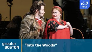 Into The Woods Actor Gavin Creel on bringing Broadway to Boston [upl. by Tirrag]