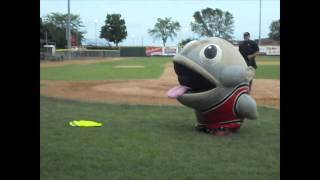 ZOOperstars 2012 MoonDogs Game [upl. by Gwynne]