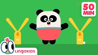 BINGO THE DOG 🐶 More Popular Songs for Kids  Lingokids [upl. by Amsirhc500]