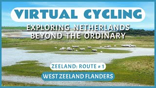 Fietsroute WestZeeuwsVlaanderen  Virtueel Fietsen [upl. by Nylicaj]