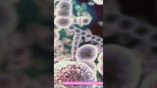 Streptococcus pneumoniae Biological short videoshorts [upl. by Orelle]