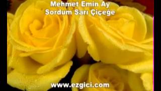 Mehmet Emin Ay Sordum Sarı Çiçeğe [upl. by Ivers608]