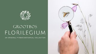 Discover The Untold Story of The Grootbos Florilegium 🌷 [upl. by Affay]