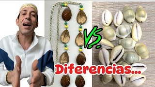 Diloggun VS Oddun de Ifá Diferencias ifa diloggun babalawo [upl. by Brace]