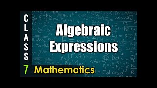 Class 7th MATHS Algebraic Expressions [upl. by Yllaw]