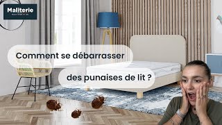 Comment se débarrasser des punaises de lit [upl. by Ettevy]