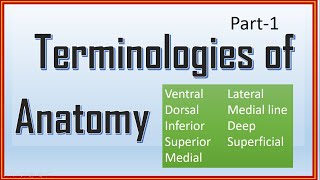 Terminology of Anatomy Part1 [upl. by Saks]