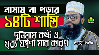 পেকুয়াবাসী যেন আল্লামা সাঈদীকে পেয়েছে New Saidee Qari Abdul Mojid Natory [upl. by Zanahs]