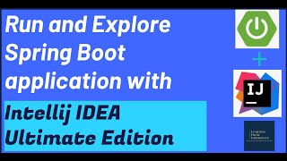 Run and Explore Spring Boot in IntelliJ IDEA Ultimate Edition  Using Run and Spring Tool Windows [upl. by Deadman]