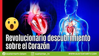 WOW Lo que no sabías del corazón humano  Revolucionario descubrimiento [upl. by Avah]