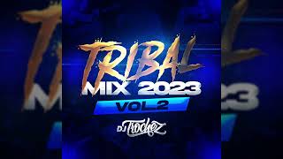 TRIBAL MIX 2023 VOL2  DJ TROCHEZ [upl. by Sacttler]