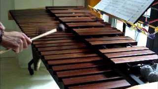 Eluveitie  Thousandfold Marimba cover [upl. by Isabel]