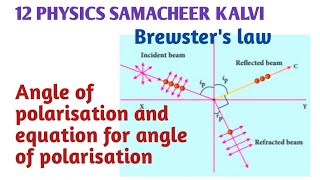 Brewsters law Equation for angle of polarisation  Unit 7 Wave Optics  12 Physics Samacheer kalvi [upl. by Schick724]