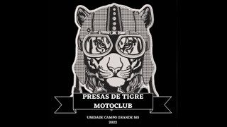 PRESAS DE TIGRES AO VIVO COM O PAPO CHURRASCO 1 [upl. by Dnanidref]