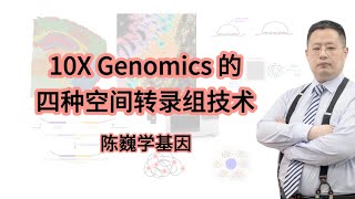 【陈巍学基因】视频127：10X Genomics 的 4 种空间转录组技术 [upl. by Meta]