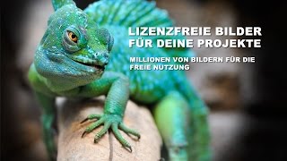 Lizenzfreie Fotos Millionen kostenloser Bilder  Bilddatenbanken [upl. by Conrad]