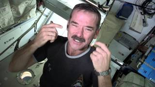 Chris Hadfield  Nail Clipping in Space [upl. by Lletnwahs]