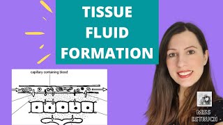 Function and Formation of TISSUE FLUID A level Biology How it is formed and reabsorbed [upl. by Ikiv34]