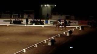 Freestyle Dressage Championship  Gillian Sutherland [upl. by Edac572]